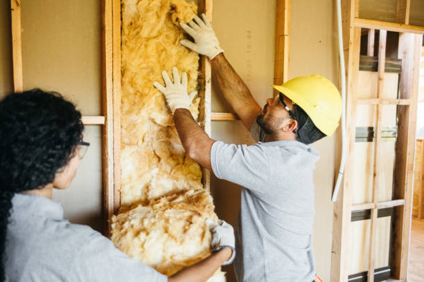 Best Insulation Inspection Services  in Ada, OK